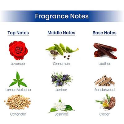 Bombay Shaving Company Red Spice 150 ml x 4 Combo Deodorant Spray for Men 600 ml 4's - Men Perfumes (Edt/Edp)