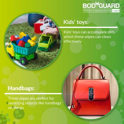 BodyGuard Multi-Use Sanitizing Wipes 30's - Others