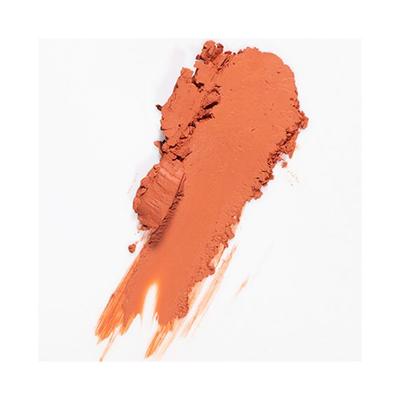 Pigment Play Performer Matte Lipstick Mine Forever 2.9 gm - Lipsticks