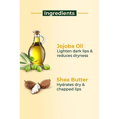 Organic Harvest Shea Butter Lip Balm 8 gm - Lip Balms