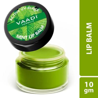 Vaadi Herbals Lip Balm - Mint 10 gm - Lip Balms