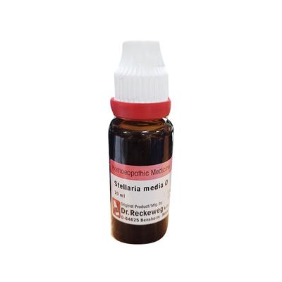 Dr. Reckeweg Stellaria Media Ø Liquid 20 ml - Mother Tincture