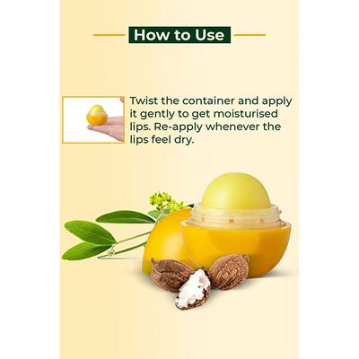 Organic Harvest Shea Butter Lip Balm 8 gm - Lip Balms