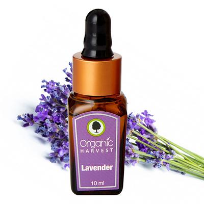 Organic Harvest Essential Oil - Lavender 10 ml - Essential Oils