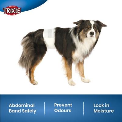 Trixie Diapers For Male Dogs Disposable M to L (40 to 60cm) 12's - Pet accessories