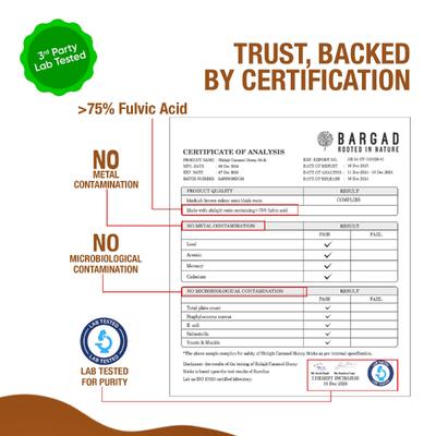 Bargad Himalayan Shilajit Honey Sticks - Caramel Flavour 30's - Speciality Medicines