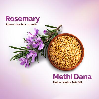 Mamaearth Rosemary Anti-Hair Fall Shampoo with Rosemary, Methi Dana for Reducing Hair Loss and Breakage 600 ml - Shampoos