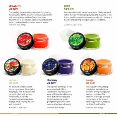 Vaadi Herbals Lip Balm - Mint 10 gm - Lip Balms