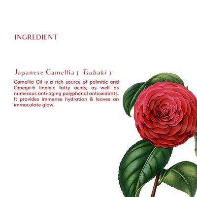 Global Beauty Secrets Japanese Camellia Illuminating Cream 30 gm - Face Creams
