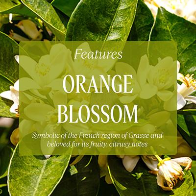 L'Occitane Neroli & Orchidee Shower Gel 75 ml - Shower Gels & Body Wash