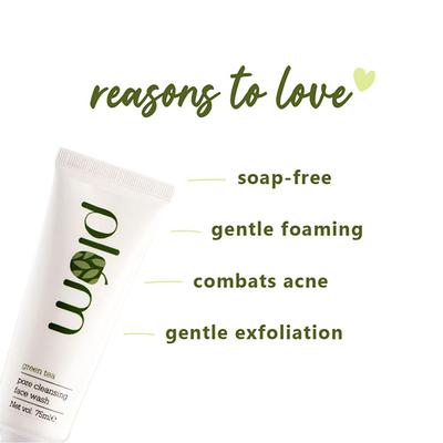 Plum Green Tea Pore Cleansing Face Wash 120 Ml - Face Wash & Cleansers