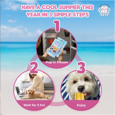 Pup Ice Rocket Lollies Banana & Chocolate Flavour 2's - Petfood