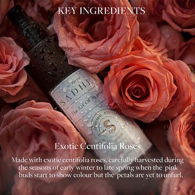 Sadhev Rose Water Toner 150 ml - Toners