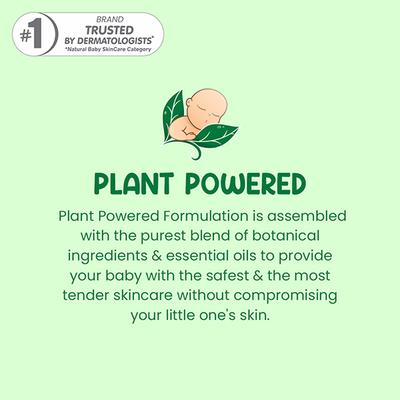 Mother Sparsh Plant Powered Natural Baby Face Cream 50 gm - Creams, Lotions & Oils