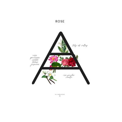 All Good Scents Eau de Parfum for Women - Rose 50 ml - Women Perfumes (Edt/Edp)