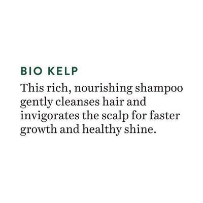 Biotique Ocean Kelp Anti hair Fall Shampoo 190 ml - Shampoos