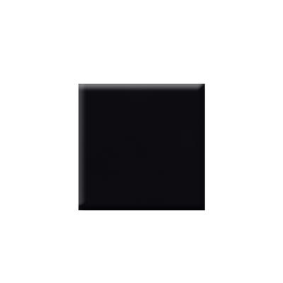 Colorbar Vegan Nail Lacquer-Black Trick-161 8 ml - Nail Polish