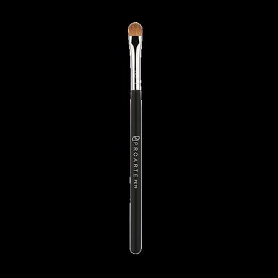Proarte Pe-19 Small Blender Brush Black 1's - Face Brush