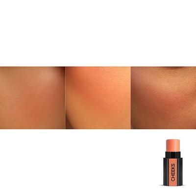 RENEE Fab Face Nude Lips, Cheeks and Eyes 4.5gm - Lipsticks