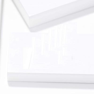 Majestique Foot Scrubber With Handle Foot Scrubber Professionally Designed Callus Remover 1's - Callus Shavers & Stones