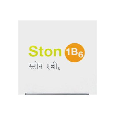 STON 1 B6 SUGAR FREE DELICIOUS PINEAPPLE FLAVOUR Oral Solution 250ml - Kidney Disease/Stones-Uri