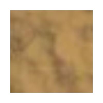 PAC Translucent Powder 08 10 gm - Loose Powder