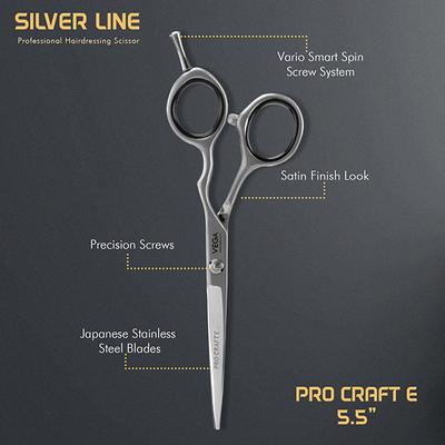 Vega Professional Pro Craft E 5.5' Silver Line Hairdressing Scissor (VPVSC-20) 1's - Grooming Kits