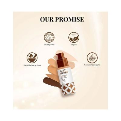 Just Herbs Hyndrating Skin Tint Bb Cream Foundation For Pores, Blemish & Skin Tone, Caramel 40ml - Foundation