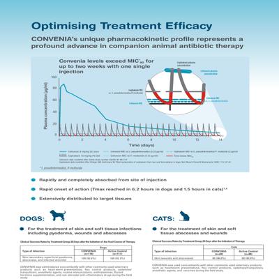 CONVENIA (VET) Injection 10ml - Veterinary-Pharma