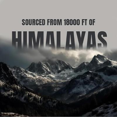 Bargad Himalayan Shilajit Honey Sticks - Classic Flavour 7's - Speciality Medicines