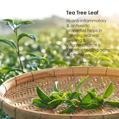 Keya Seth Aromatherapy Blueberry Face Brightening Mask Vitamin A and C 30ml - Face Packs