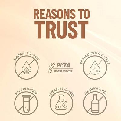 Swiss Beauty Everyday Matte Compact with SPF 10-Ivory 9 gm - Compact Powder