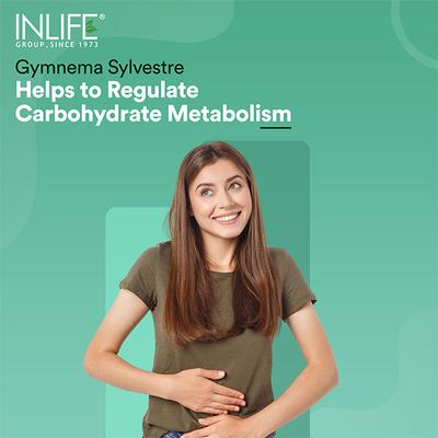 INLIFE Diastan Vegetarian Capsule 60's - Diabetes (Fitness)