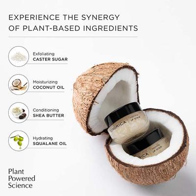 Kimirica Coco Sugar Lip Scrub for Dry and Sun Parched Lips 15 gm - Lip Scrubs
