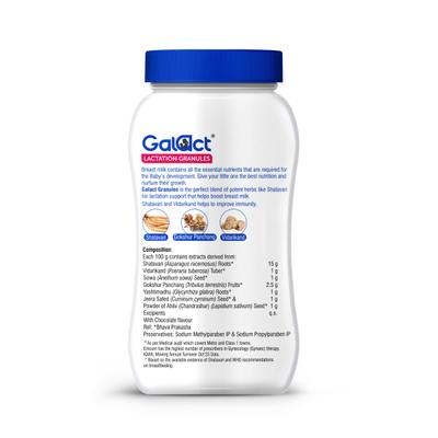 Galact Lactation Granules - Chocolate Flavor 200 g - Nutritional Supplements