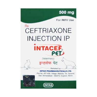 INTACEF PET (VET) 500mg Injection 1's - Antibiotic-Far