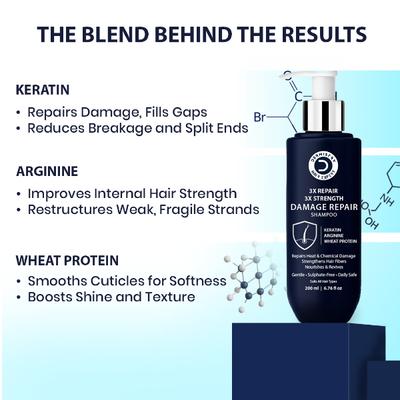 Dermistry Damage Repair With Keratin Arginine Wheat Protein Shampoo 200 ml - Shampoos