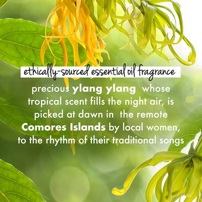 Love Beauty And Planet Virgin Coconut Oil, Aloe Vera & Ylang Ylang Hair & Scalp Oil 200 ml - Hair Oils