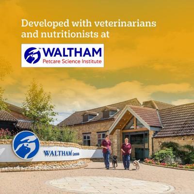 Pedigree Adult Chicken Biryani 2.8 kg - Petfood