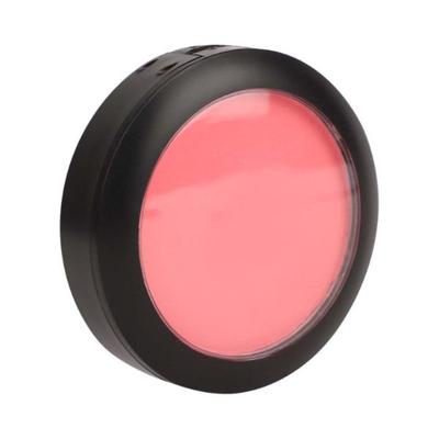 Sedell Professional Single Blush Powder 01 Shade 8 gm - Blushes