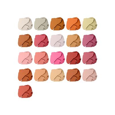 Shivanna Colors Iconic Pro Palette - HF384 02 20 gm - Eye Shadow Palettes