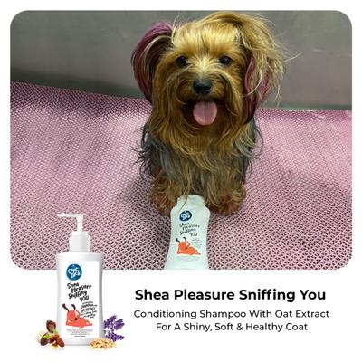 Capt. Zack Shea Pleasure Sniffing You Shampoo With Oat Extract 500 ml - Pet Healthcare