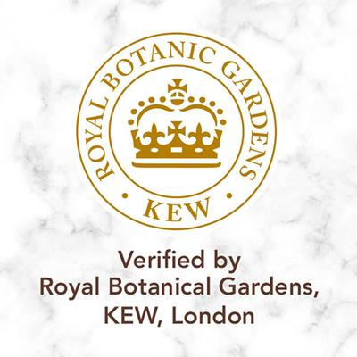 Herbal Essences Coconut Milk Shampoo 400ml - Shampoos