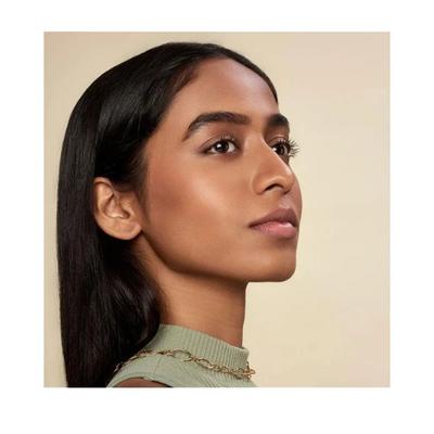 asa Powder Foundation - Roasted Chestnut WN47 10 gm - Foundation