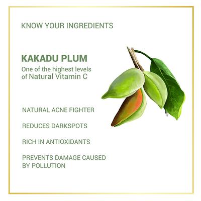 Anveya Advanced Vitamin C Facial Serum & Vit C Skin Rejuvenation Cream 110 ml - Face Mists