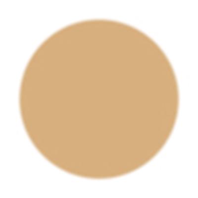 PAC Studio HD Concealer Yellow Mahogany 12 gm - Concealer