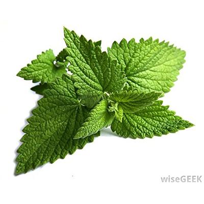 WishCare 100% Pure Peppermint Essential Oil 15 ml - Essential Oils