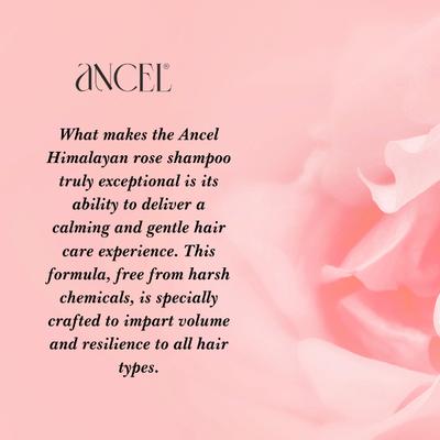 Ancel Himalayan Rose Shampoo 300 ml - Shampoos