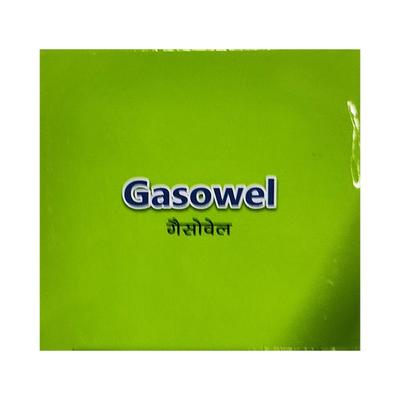 GASOWEL SUGAR FREE MINT FLAVOUR Suspension 170ml - Ulcer/Reflux/Flatulence-Aaa