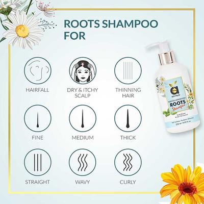 Anveya Jamaican Black Castor Oil & Roots Shampoo Combo 350 ml - Shampoos